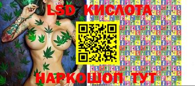 spice Бузулук