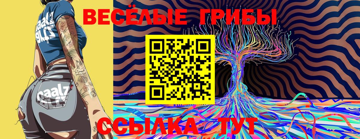 Псилоцибиновые грибы мицелий Иваново