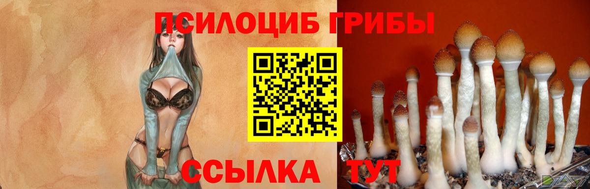 Галлюциногенные грибы Cubensis  Вход с VPN  Иваново  Галлюциногенные грибы ЛСД 