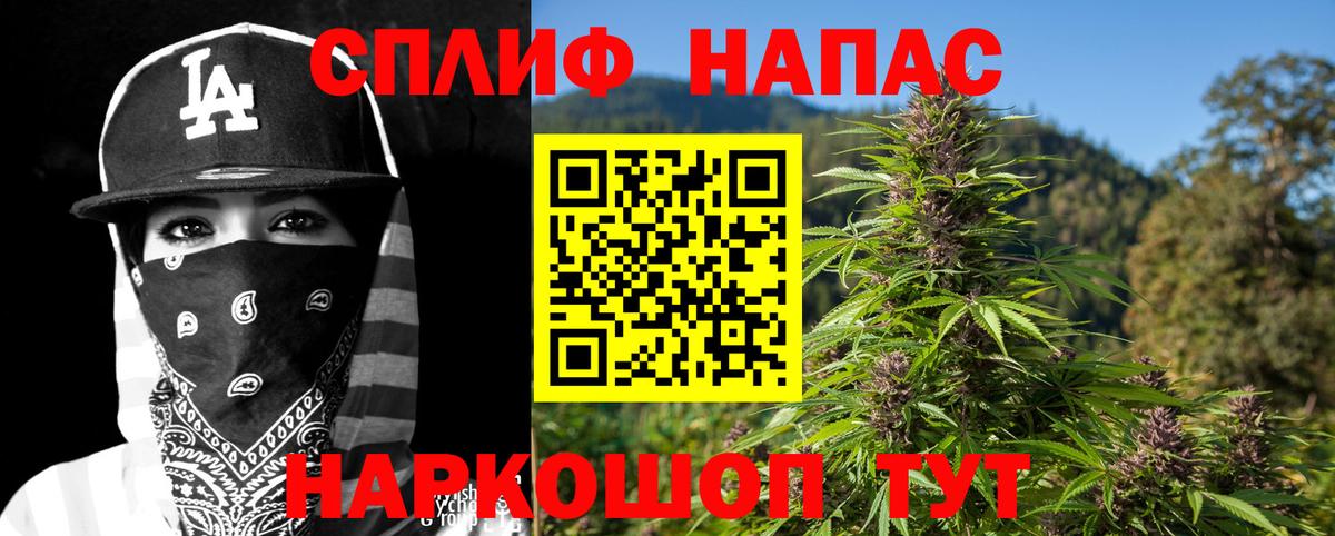 Бошки Шишки гибрид Иваново